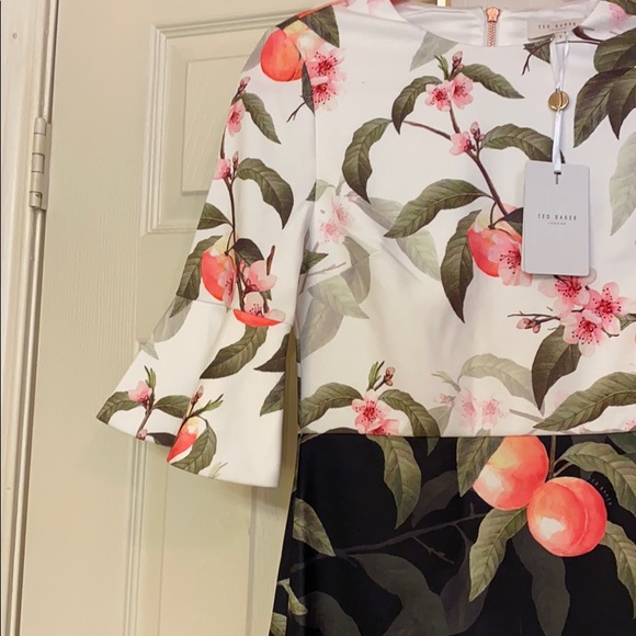 Ted Baker London Areea Peach Blossom Dress Size 1 - Picture 3 of 6
